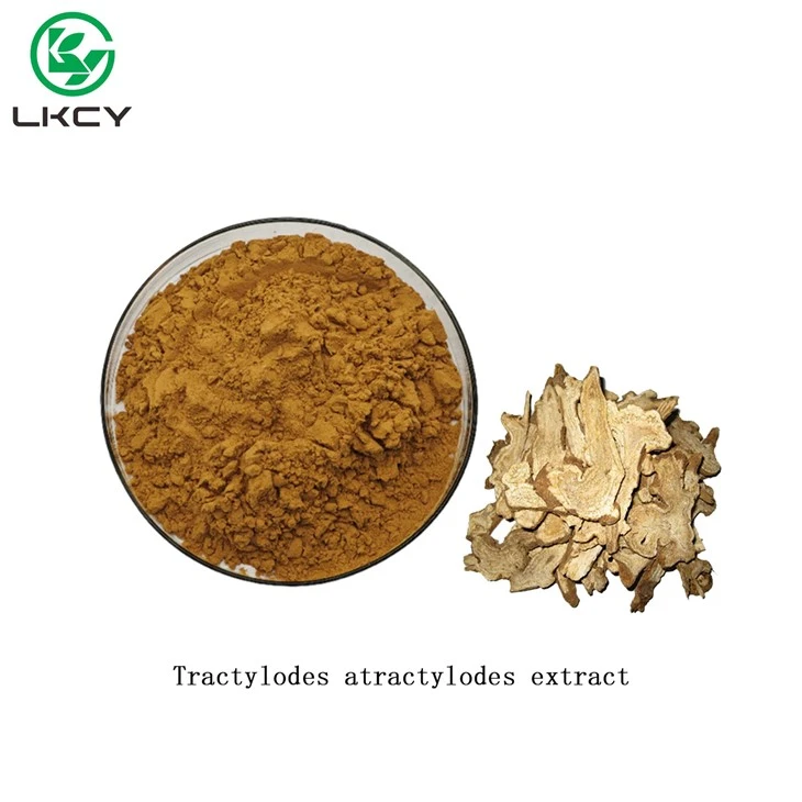 Tractylodes Atractylodes নির্যাস